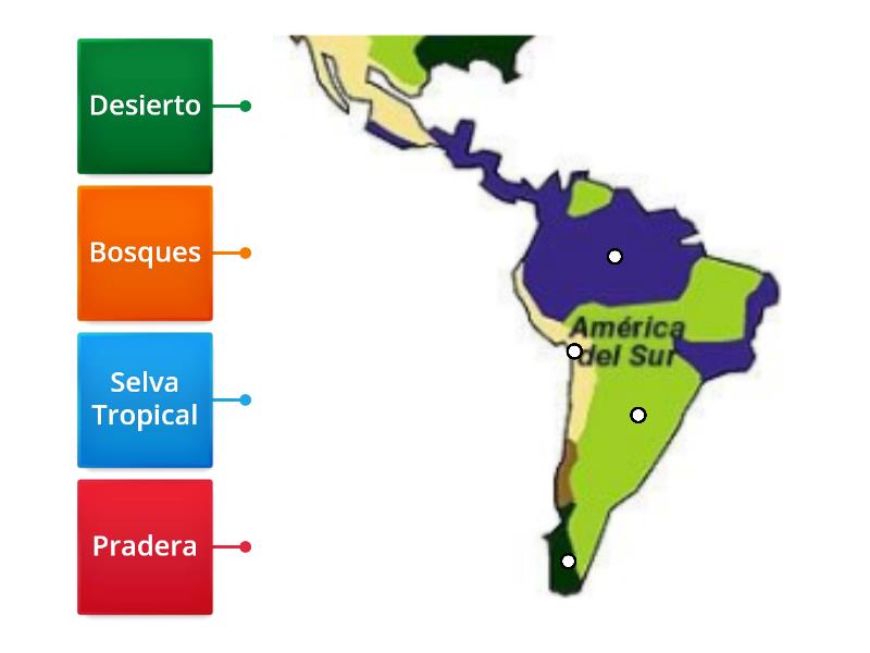 VEGETACIÓN EN AMÉRICA LATINA - Labelled diagram