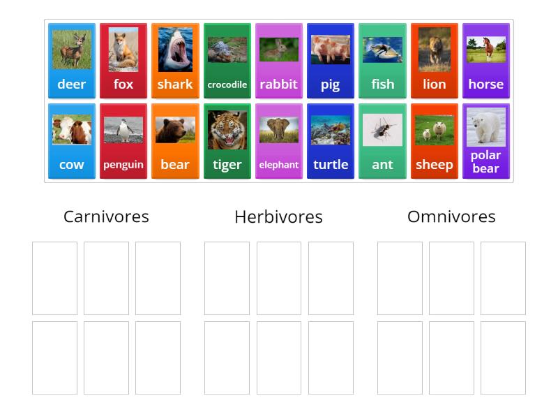 Carnivores, Herbivores And Omnivores - Group Sort