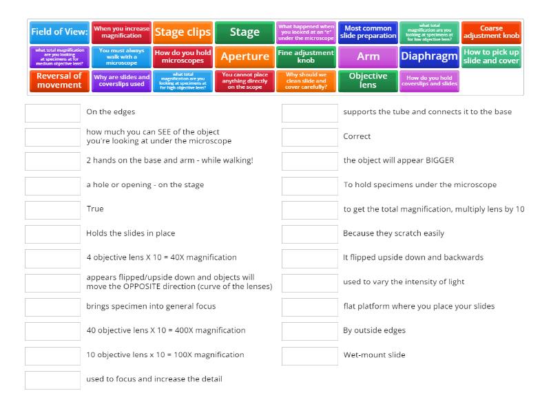 Definitions and questions - Match up