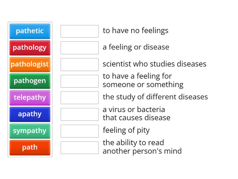 path-root-words-match-up