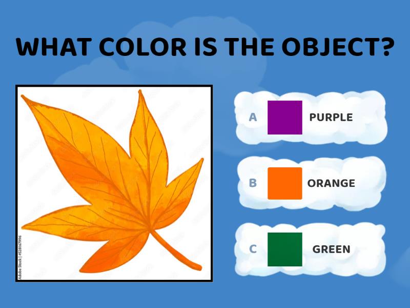 Colors 1st grade - Quiz