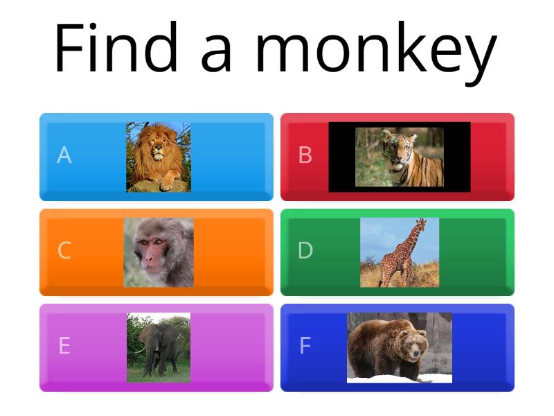 zoo animals - Quiz