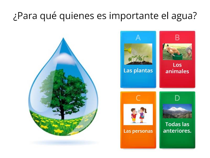 La Importancia Del Agua Quiz