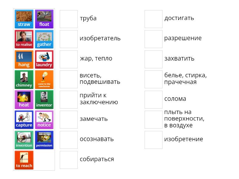 Слова module 3a Animals in the air - Match up