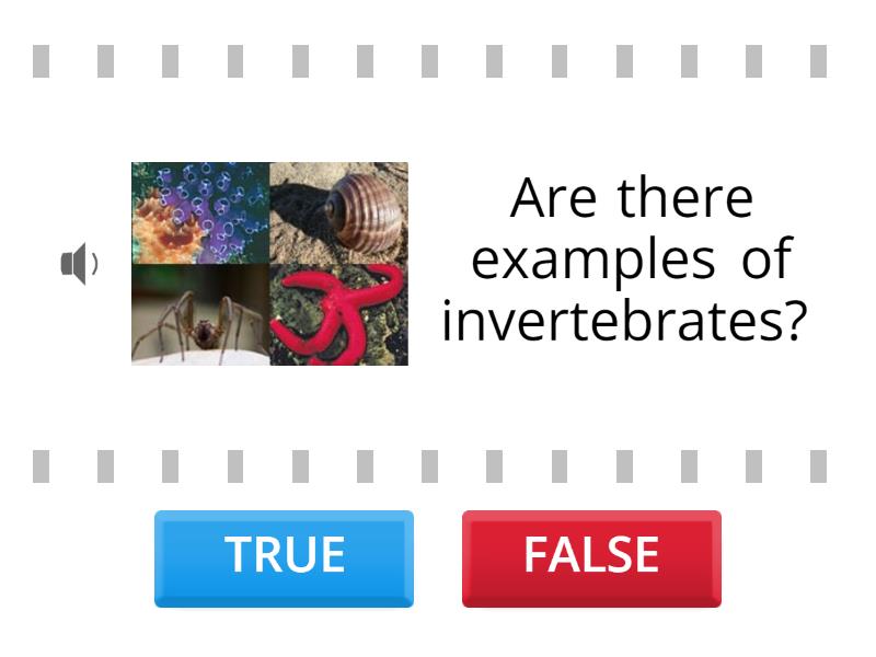 Invertebrates - True or false