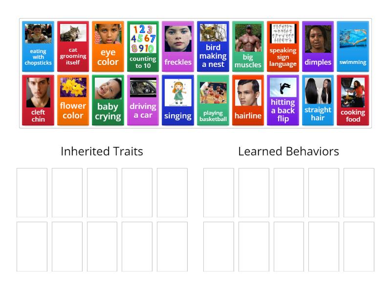 Inherited Traits And Learned Behaviors Group Sort