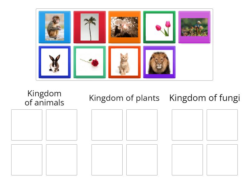 name three groups of living things found in a habitat