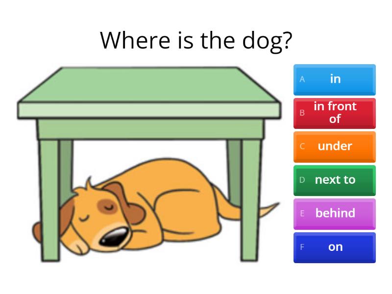 Prepositions - in on under next to over - Quiz