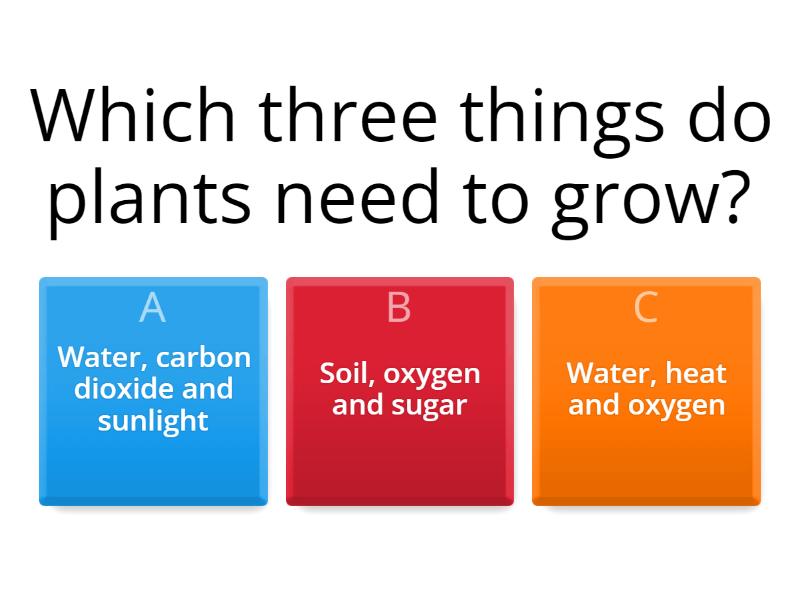 Plants اختبار تنافسي