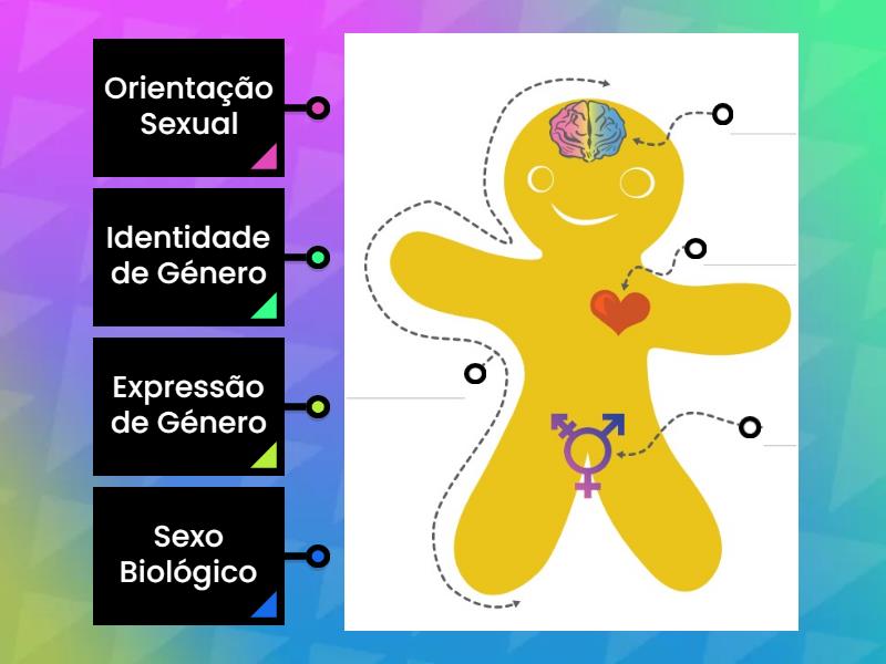 Genderbread | Biscoito - Labelled diagram