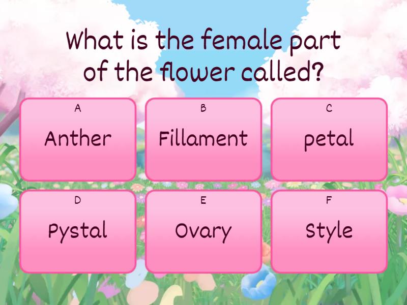 Parts of the flower - Quiz
