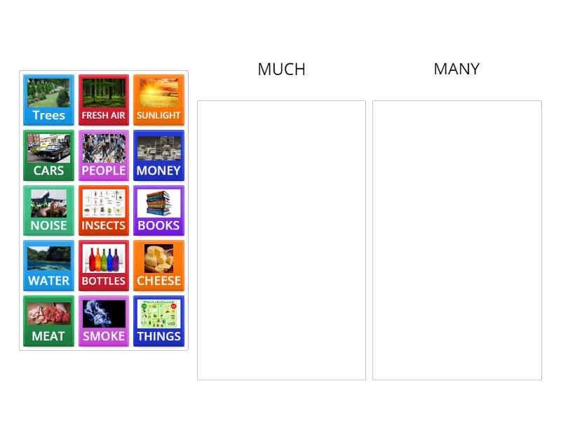 Classify The Words Into Much Or Many Categorize