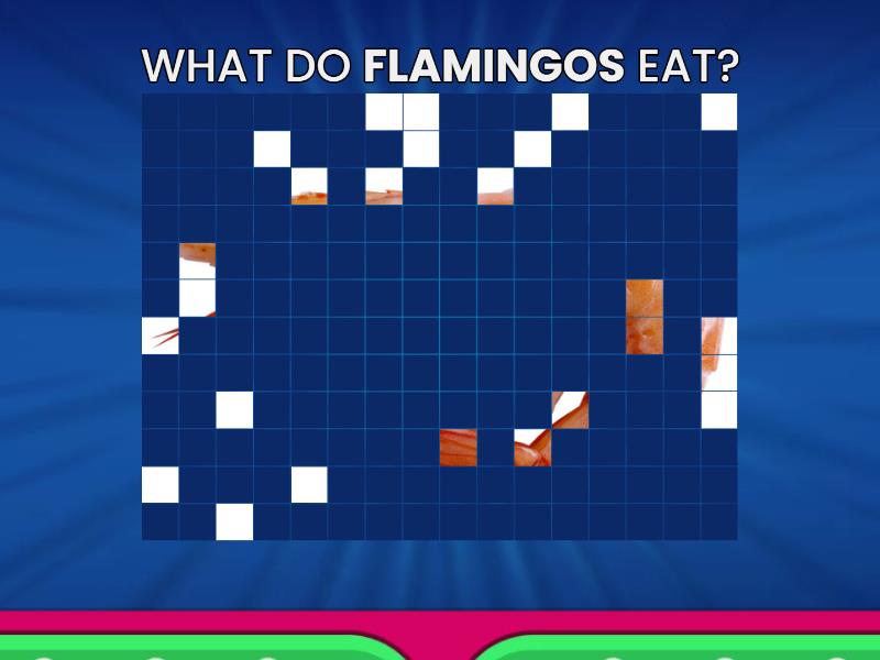 WHAT DO ANIMALS EAT? Acertijo visual