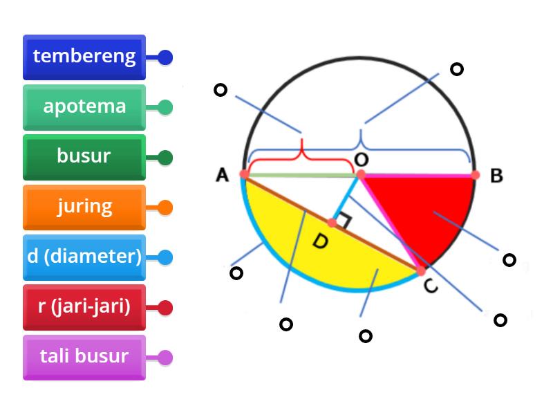 unsur-unsur lingkaran - Labelled diagram