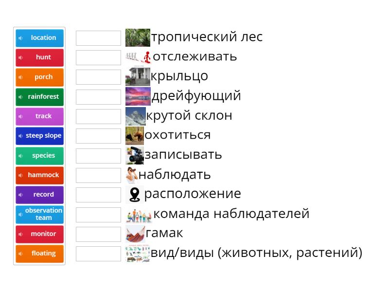 Starlight 6. Module 5e. Part1 - Сопоставить