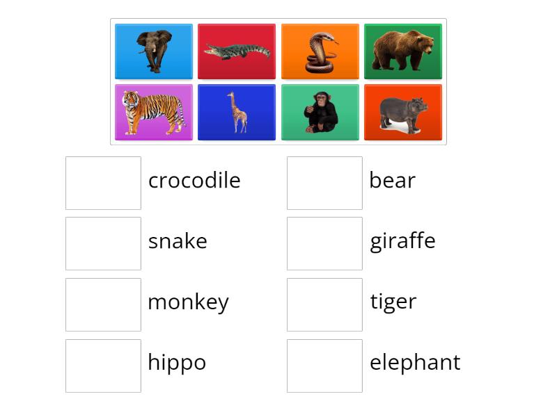 Match the picture and the word - Match up