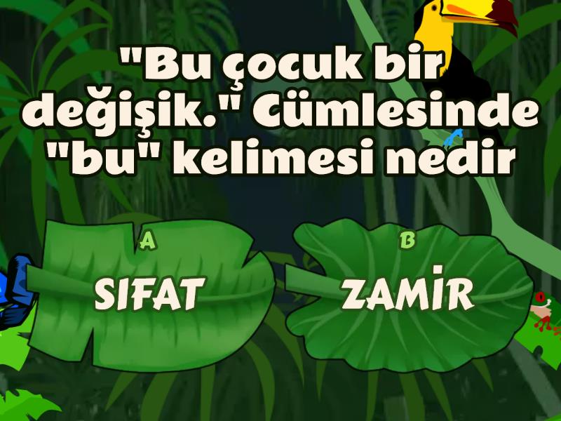 6. SINIF SIFAT ZAMİR TESTİ - Quiz