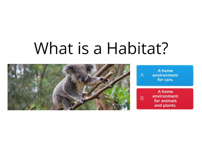 Habitats Quiz