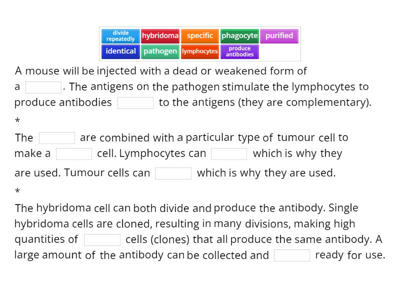 Monoclonal antibodies Complete the sentence