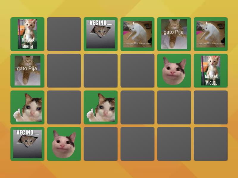 encuentra los memes de michis - Matching pairs