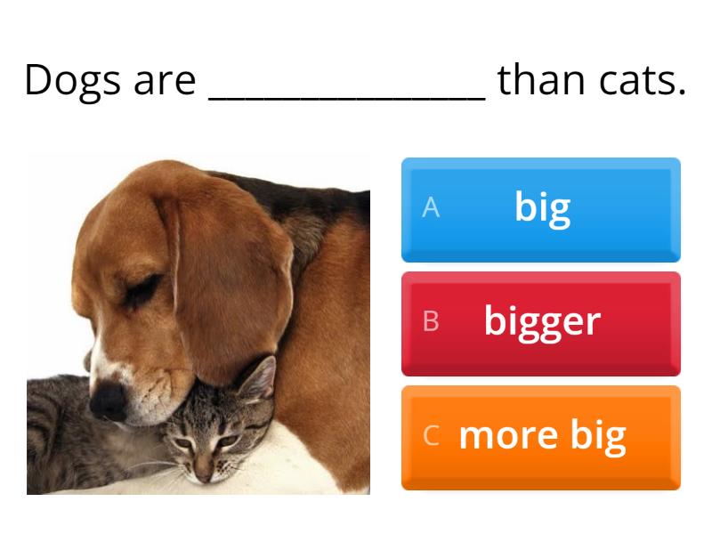 Topic - Comparatives - Quiz