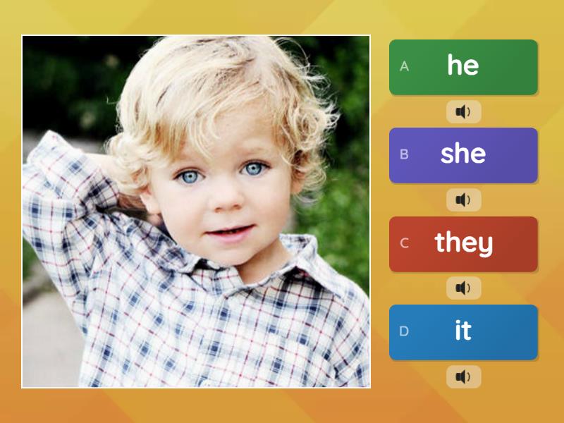 He, she, it, they - Quiz