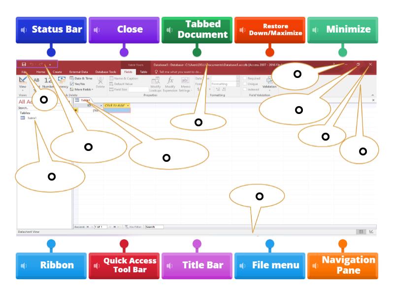 Component of a Database Window - Labelled diagram