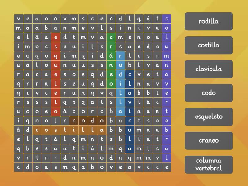 Sopa De Letras Sistema Oseo Wordsearch