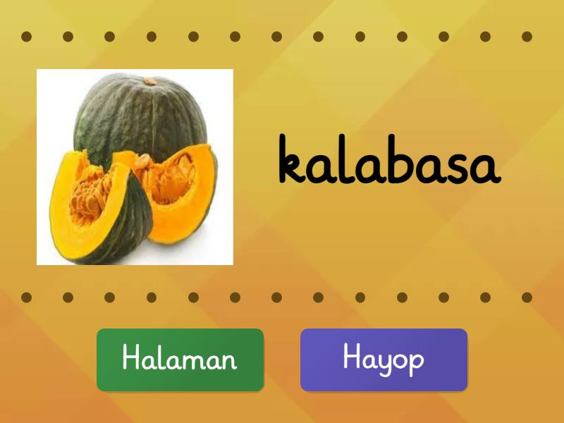 Sagutin pagkaing galing sa Hayop o Halaman - True or false