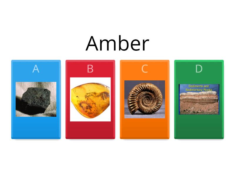 Materials and fossils Quiz