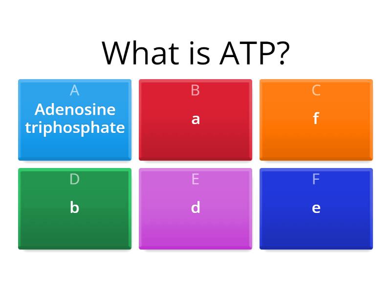 Cellular Respiration Quiz