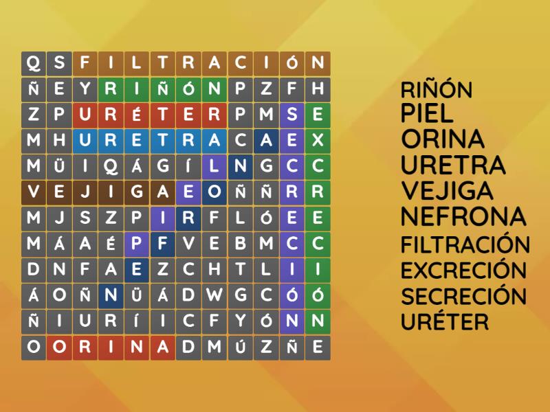 sistema excretor sopa de letra - Wordsearch