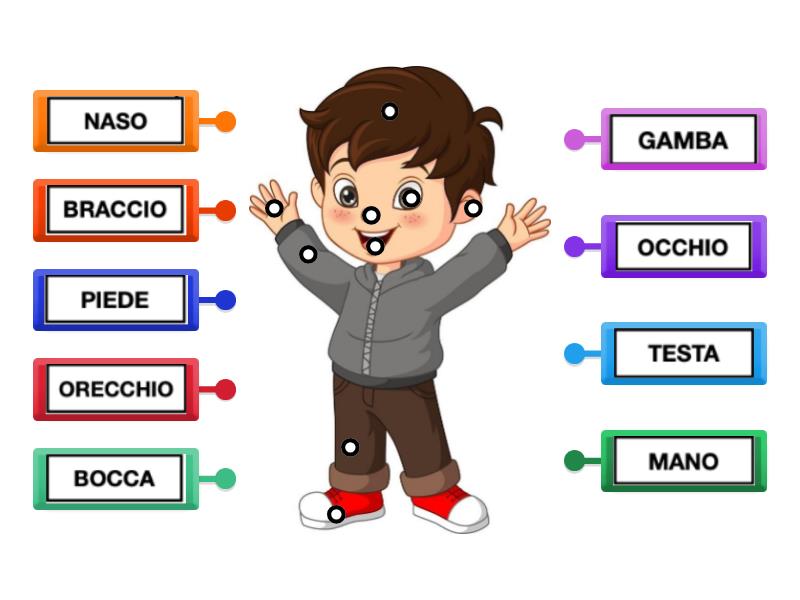 Tiptoi® Libro Interattivo 'Tutto Sul Corpo' - Per Penna Tiptoi - Giochi E Storie Per Bambini - 5