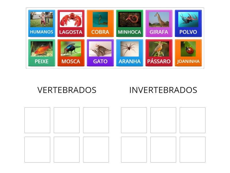 Vertebrados ou Invertebrados - Classificação em grupos