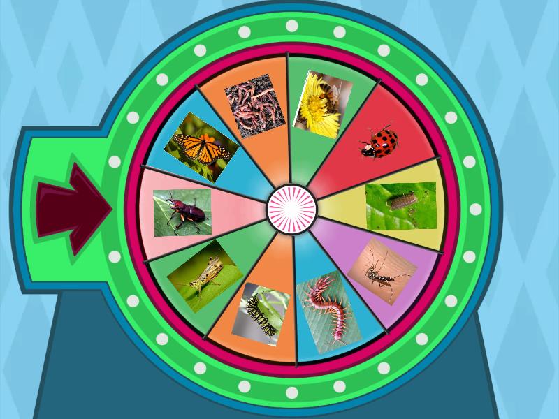Bugs Wheel of Fun - Spin the wheel