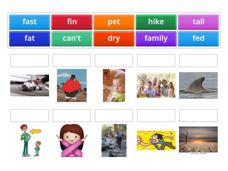 Matching Game- match each picture to the correct word - Match up