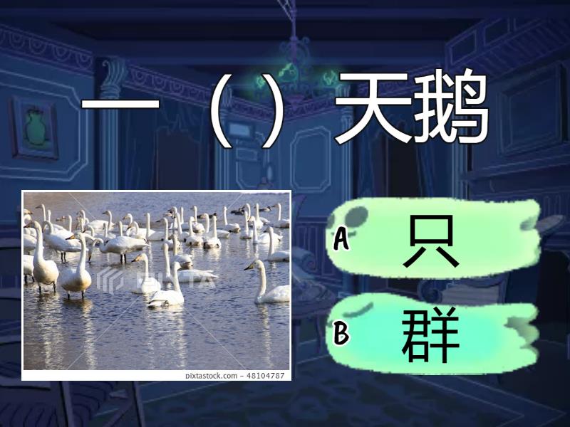 量词：群、只 - Quiz