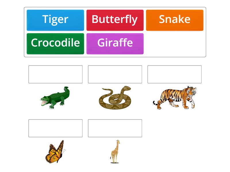 Superminds_1. Unit 3. Animals: camouflage - Match up