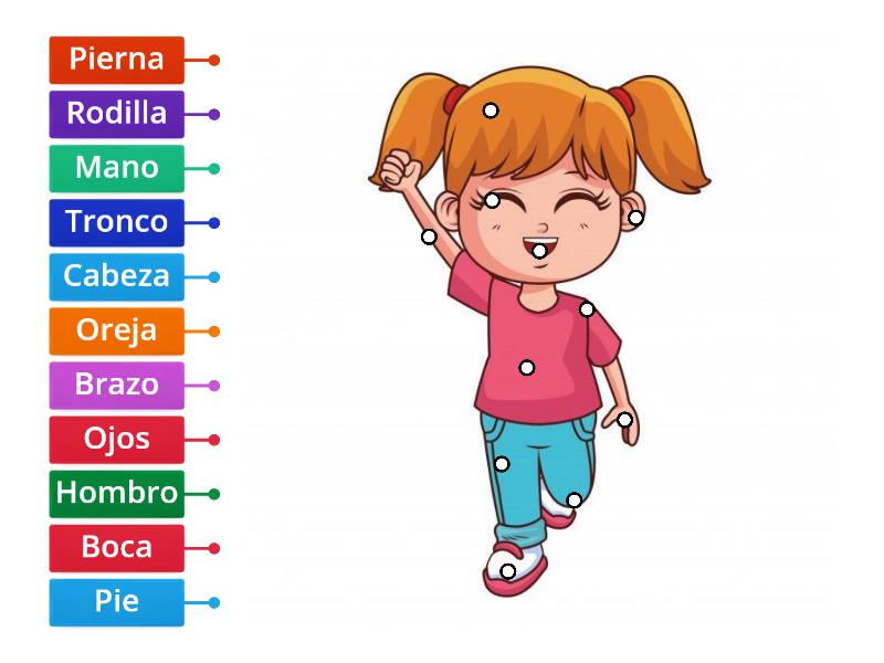 partes del Cuerpo - Labelled diagram