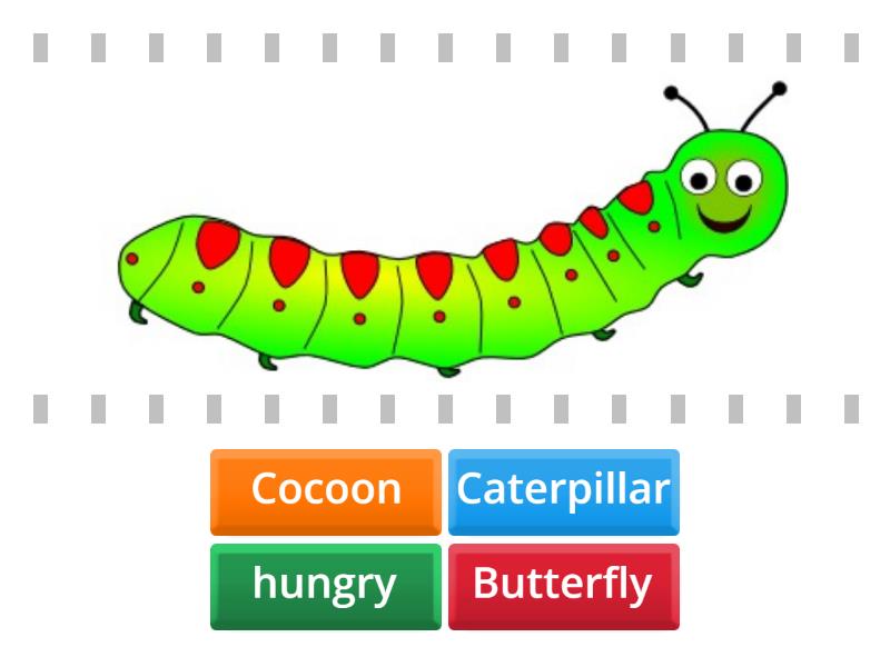 Giocattolo Sensoriale The Very Hungry Caterpillar Unfold & Discover Per Neonati - Morbido E Interattivo - 2