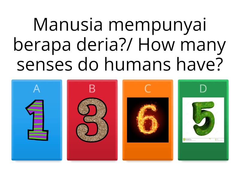 DERIA MANUSIA SAINS TAHUN 1. - Quiz