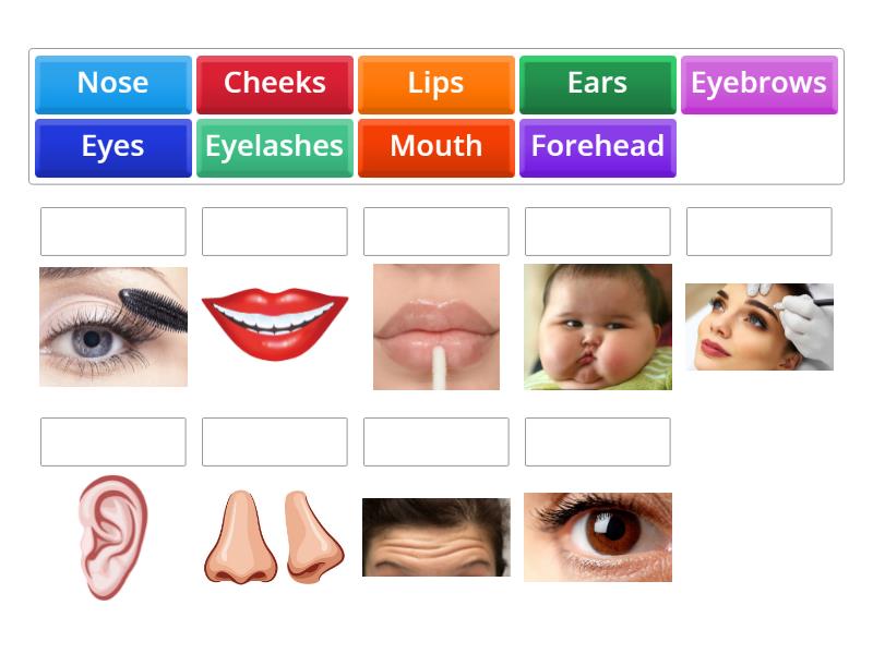 Partes Do Rosto Match Up