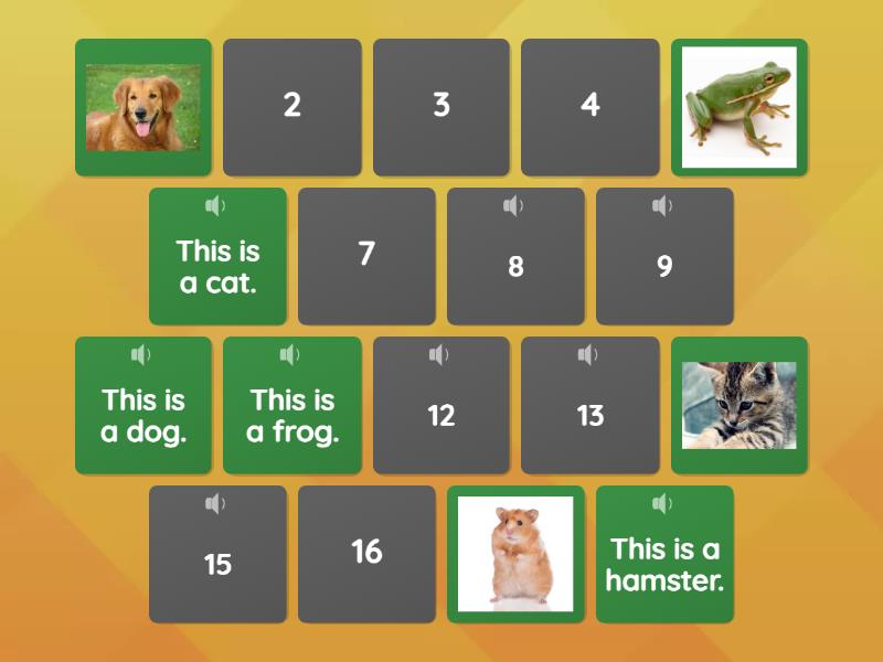 Pets - Matching pairs