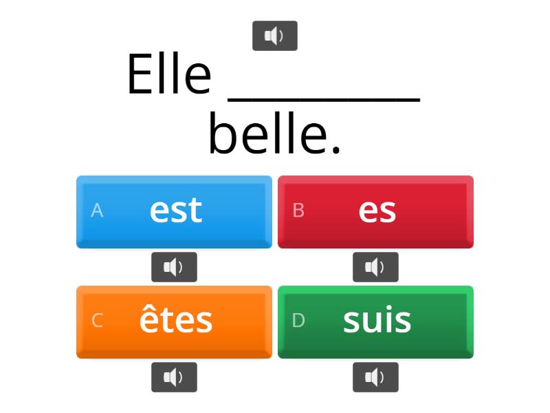 Etre Avec Les Exercies - Quiz