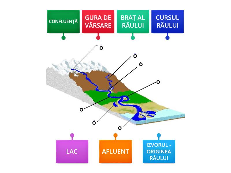 ELEMENTELE UNUI RÂU - Diagramă etichetată