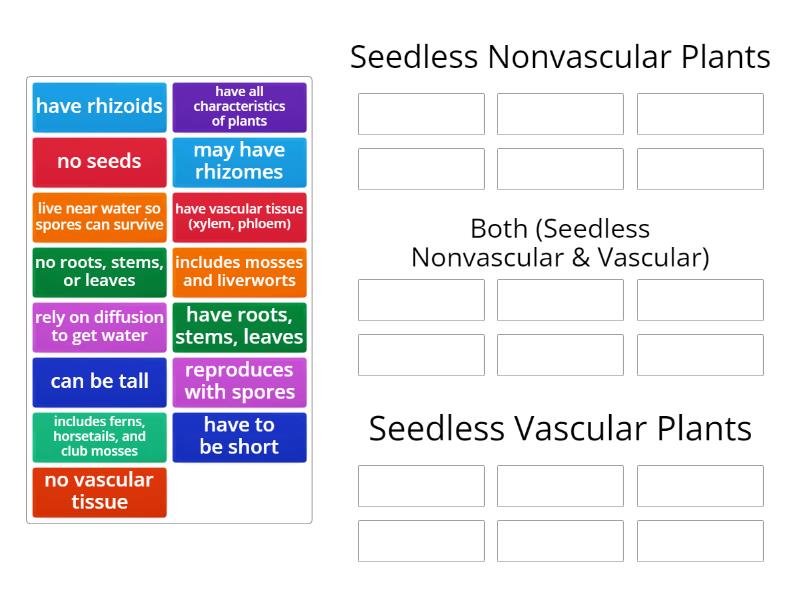 Food And Plant Venn Diagram