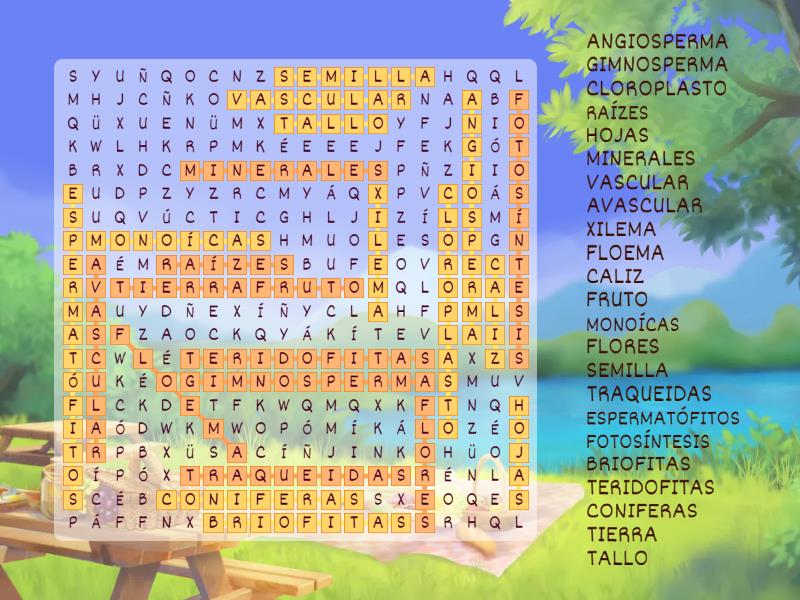 Biologia Angiosperma Y Gimnosperma Wordsearch