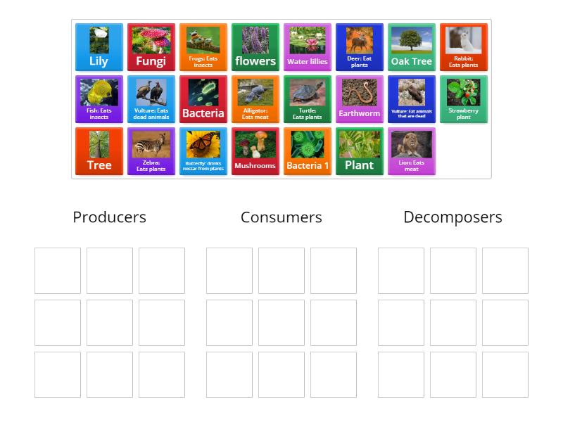 Ecosystems - Group sort