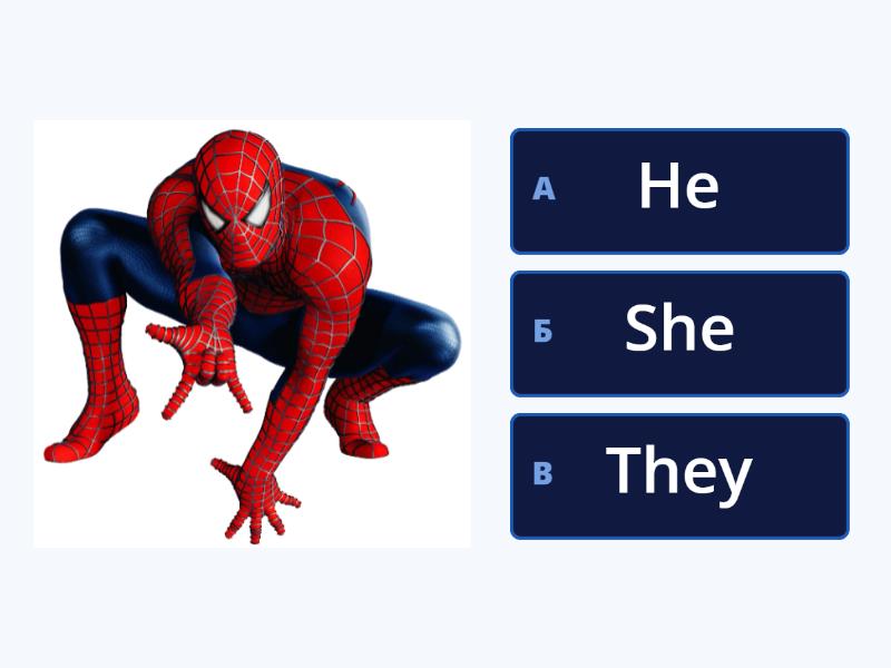 He / she/ they - Quiz