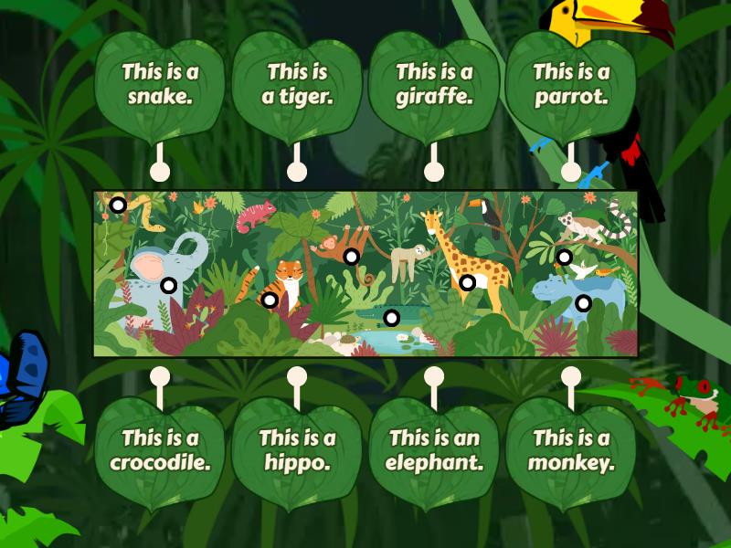 Kids box 1 Unit 7 Wild Animals - Labelled diagram